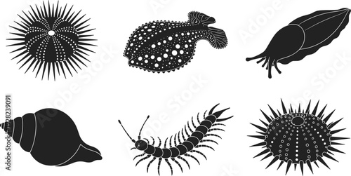 Sea creature silhouette collection vector set, urchin seashell centipede slug marine invertebrates black illustration