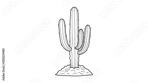 Simple black and white line art drawing of a tall saguaro cactus growing in a small mound of desert sand and rocks.
