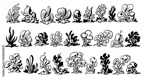 A collection of various cacti and succulents in a detailed line drawing