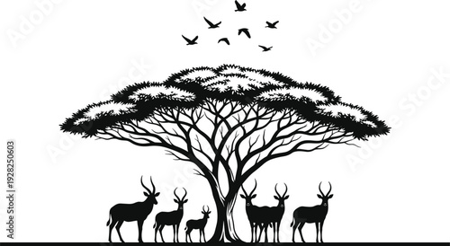 Black silhouette of an African acacia tree with a herd of impala antelopes and birds flying isolated on white background for nature