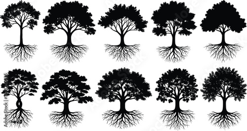 Black silhouette collection of different tree species with leafy canopies and deep root systems isolated on white background for nature and growth concepts