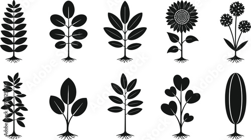 Black silhouette collection of various leafy plants and flowers with small root systems isolated on white background for nature and botanical designs