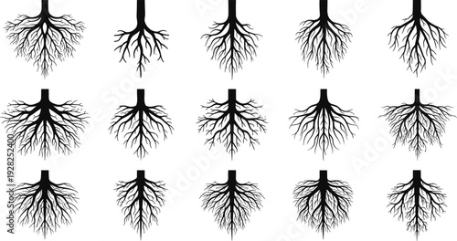 Black silhouette collection of different tree root systems isolated on white background for nature growth genealogy and strong foundation design concepts for business