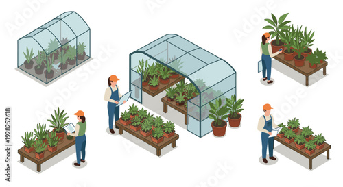 isometric greenhouse with potted plants and people inspecting plants in flat style