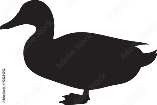 Duck icon illustration