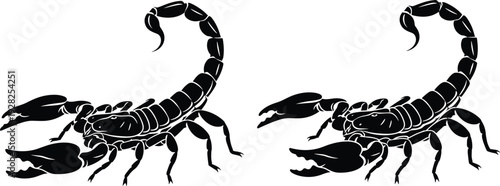Scorpion silhouette illustration, dangerous desert arachnid graphic, black vector insect design, isolated wildlife symbol, detailed stinger claws