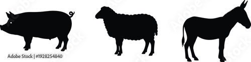 Farm animals silhouettes set, pig sheep and donkey livestock collection, agricultural rural farming animals, domestic barnyard species, black white vector illustration