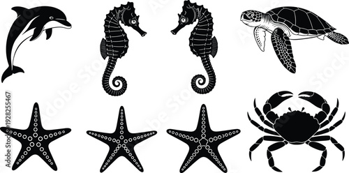 Black silhouette collection of sea animals including dolphin seahorse turtle starfish and crab isolated on white background for marine life and summer designs