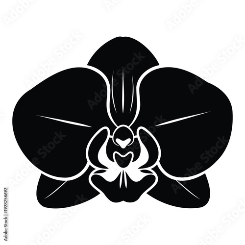 A black and white illustration of an orchid flower with detailed petals and lines