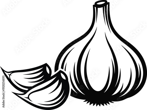 Black and white illustration of a whole garlic with two cloves