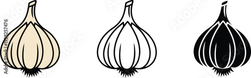 Three illustrated garlic in different shading styles on a white background