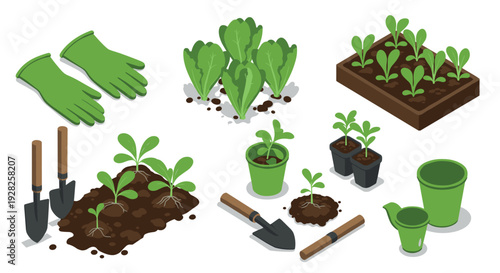 various gardening tools and young plant seedlings in hand drawn style garden set