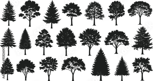 Detailed tree silhouettes set with deciduous and evergreen pine spruce and oak forest plant icons collection isolated on white background