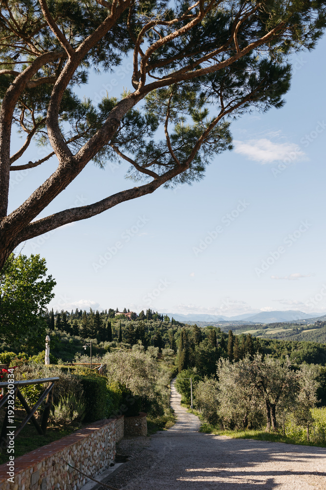 Obraz premium Scenic tuscany countryside with winding road and cypress trees