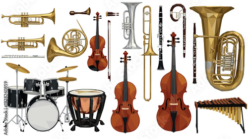 set of hand drawn classical musical instruments including string brass woodwind percussion in vector style
