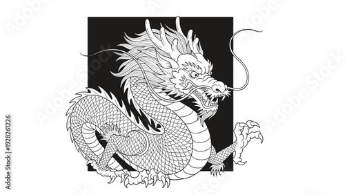 detailed hand drawn chinese dragon illustration with scales and claws on black square background