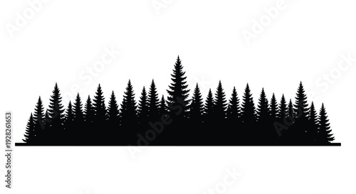 Dark forest of pine trees depicted in a striking silhouette