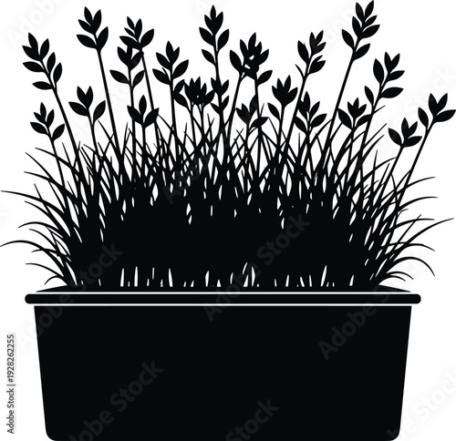 Lavender flower pot silhouette with herbal plant in rectangular planter box floral garden element isolated on white background vector