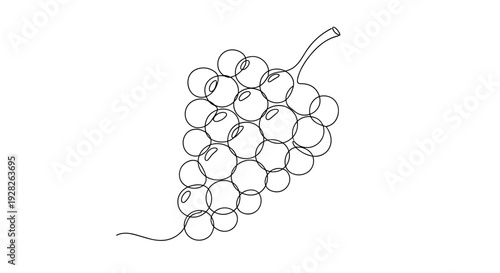 Bunch of Grapes Line Drawing.