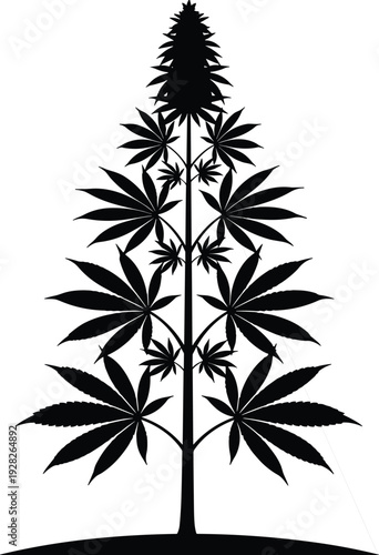 Black cannabis sativa plant silhouette isolated on white background, detailed marijuana herb leaf design for medical hemp oil CBD industry and botanical nature graphics