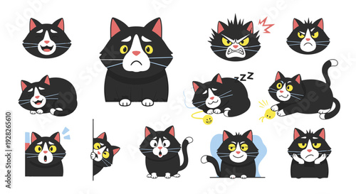 Collection of Black Cat Faces and Full Body Poses Displaying a Wide Range of Emotions Including Joy Sadness Anger Surprise Sleepiness and Playfulness in a Cartoon Style