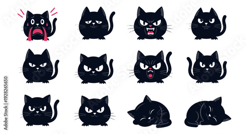 Collection of Twelve Distinct Black Cat Faces Expressing a Wide Range of Emotions from Crying and Sad to Angry and Aggressive with Cute Cartoon Style