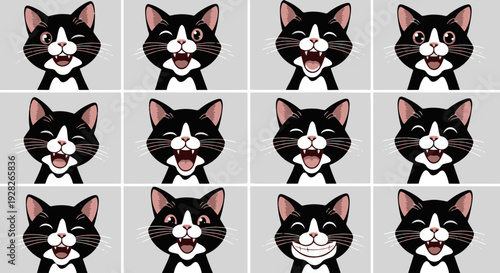 Collection of Black Cat Faces with Wide Open Mouths Showing Expressions of Surprise Joy and Laughter Set Against a Light Grey Backdrop