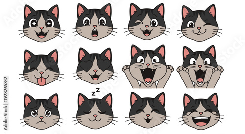 Collection of Cute Cartoon Cat Faces Expressing Various Emotions Like Happiness Sadness Surprise and Love with Detailed Expressions and Black and White Fur Patterns