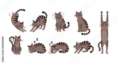 Adorable Tabby Cats in Various Poses Showing Playful Sleepy and Stretching Behaviors in a Cute Cartoon Style