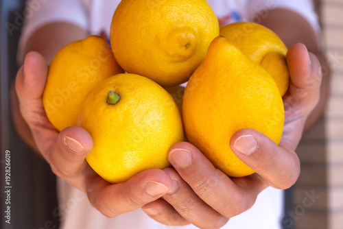 Outstretched male hands presenting pile of vivid yellow lemons, soft focus background, conveying sharing vitamins, nature freshness, primavera spring mood and homemade lemonade lifestyle.