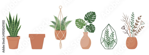 Various illustrated indoor plants in pots and vases, featuring a snake plant, fern in a macrame hanger, monstera, glass terrarium, and a dried flower bouquet in a modern, flat style