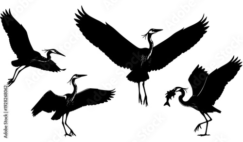 Flying And Hunting Heron Silhouettes Elegant Wetland Bird Vector Illustration