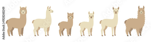 Charming set of six cute llamas and alpacas in a flat vector style, showcasing various poses and fur textures with a friendly and adorable character design collection