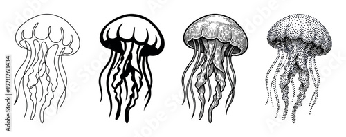 Four black and white jellyfish illustrations in various artistic techniques like continuous line drawing, solid silhouette, detailed vintage engraving, and dotwork pointillism