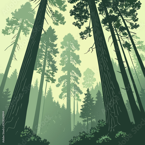 Surreal view looking up through a dense forest of towering redwood trees in a misty, ethereal green landscape.