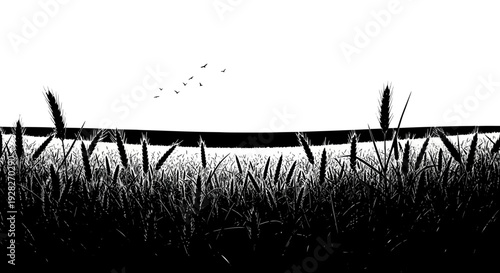 Black and white field silhouette against a bright sky with flying birds