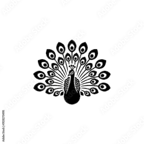 Elegant Minimalist Peacock Line Art Illustration on Black Background