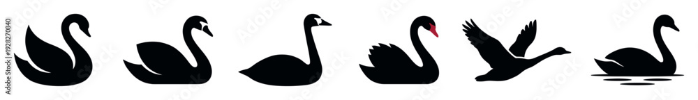 Fototapeta premium Set of six black swan silhouettes in various elegant poses, including swimming, flying, and floating, presented as a minimalist graphic icon collection for branding