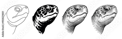Four artistic sea turtle head illustrations showing different graphic styles including line art, ink wash, detailed engraving, and stippling in a black and white collection