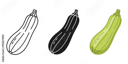 Three zucchinis in different illustration styles on white background