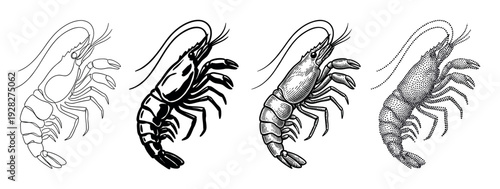 Set of four shrimp or prawn illustrations showing different artistic styles including line art, silhouette, engraving, and stippling for a vintage design aesthetic