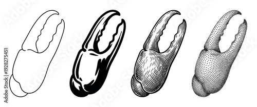 Set of four crab claw illustrations showing different artistic styles including line art, silhouette, detailed vintage engraving, and a modern stippling dotwork effect