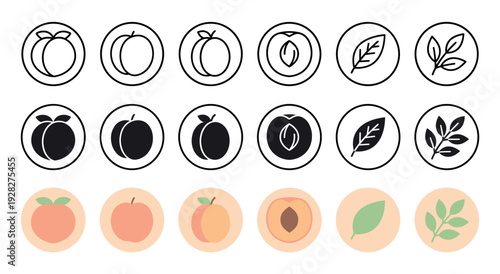 Collection of peach fruit icons presented in three distinct styles, including simple line art, solid black silhouette, and a flat color version with leaves and a half slice