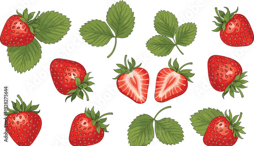 Vector Illustration of Fresh Strawberries with Leaves and Sliced Sections