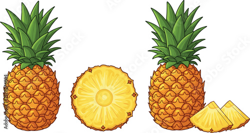 Vector Illustration of Whole and Sliced Pineapple with Fresh Tropical Fruit