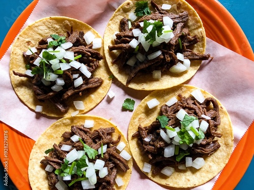 Authentic Mexican Suadero Taco Macro Close Up with Juicy Meat Texture