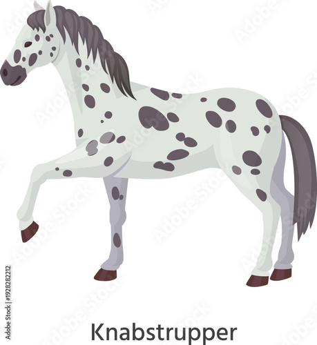 Knabstrupper icon. Standing domestic animal. Cartoon horse