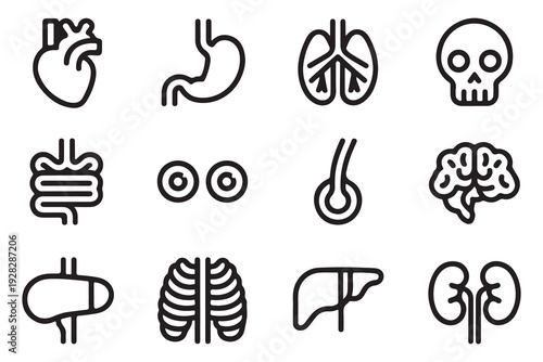 Outline human internal organs and body parts icon collection with heart stomach lungs skull brain