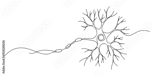 Continuous one line of a neuron branching connections, drawn illustration.