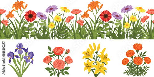 Colorful garden flower collection illustration featuring wildflower borders, blooming plants, and individual floral elements for spring, summer, botanical, decorative design use projects backgrounds